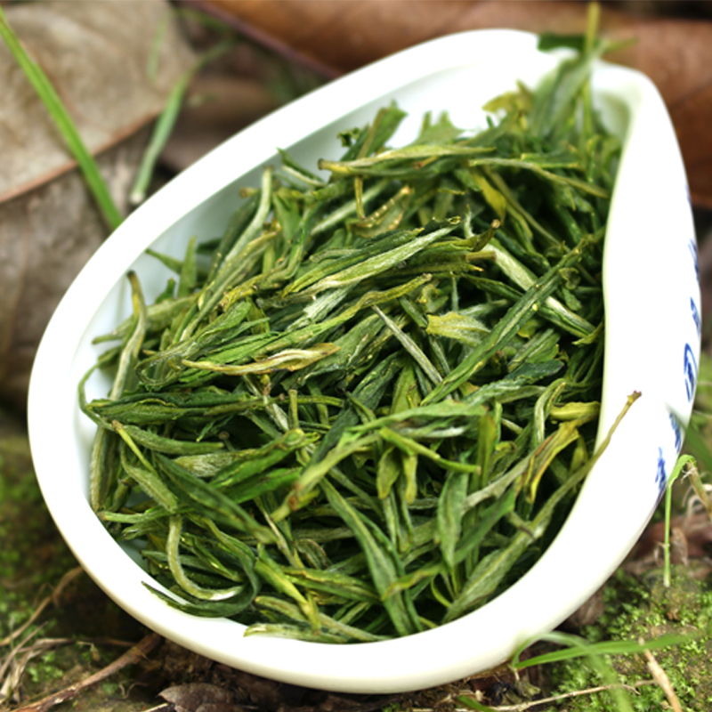 现货2024新茶春茶明前茶霍山黄芽250g大化坪黄茶高山茶叶茶农直销-图1