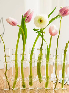 北欧ins试管花瓶家居花艺水培花瓶植物插花装饰摆件网红玻璃花瓶