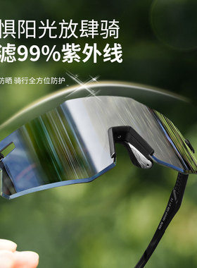 变色骑行护目镜日夜两用男防风沙