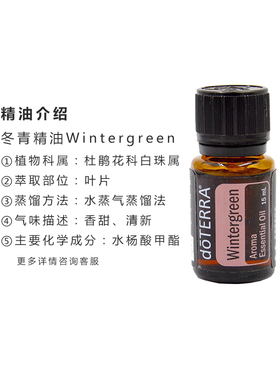 多特瑞冬青植物美国全身精油