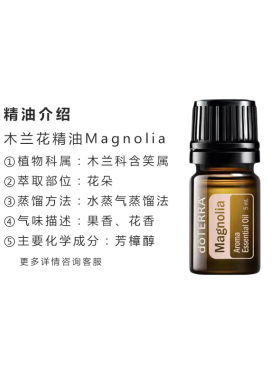 多特瑞美国木兰花精油官网正品