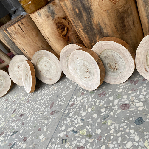 香樟树装饰品工艺品展示陈列拍照道具DIY木头树桩年轮片摆件茶几
