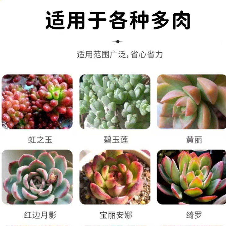 多肉专用肥料控释肥颗粒缓释肥盆栽绿植肉嘟嘟营养家用通用复合肥,淘宝优惠券,粉丝福利购,淘宝优惠卷