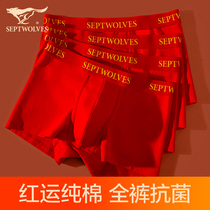 Seven Wolves Mens Pants Ben Year Old Red Pure Cotton Four-corner Pants Mens Dragon Year Wedding Gifts Flat Corner Shorts