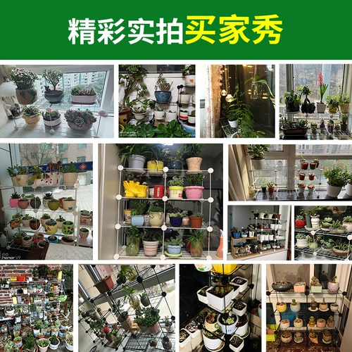 Окно -укрытие для цветочного укрытия Tieyi Balcony Polycuts Гостиная многослойная экономящаяся космическая зеленая пространственная рама творческого эркера