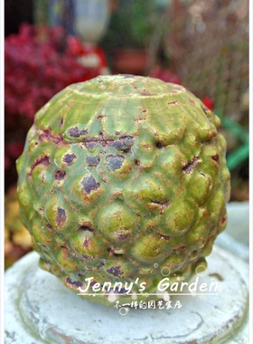 美式庭院红陶花球装饰摆件 花园陶土上釉饰品 欧式桌面摆件 小品