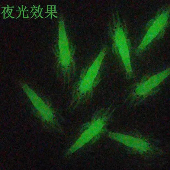 夜光仿真软饵带钩软虾软虫路亚假饵仿生鱼饵翘嘴白条鲈鱼4cm 假虾,淘宝优惠券,粉丝福利购,淘宝优惠卷