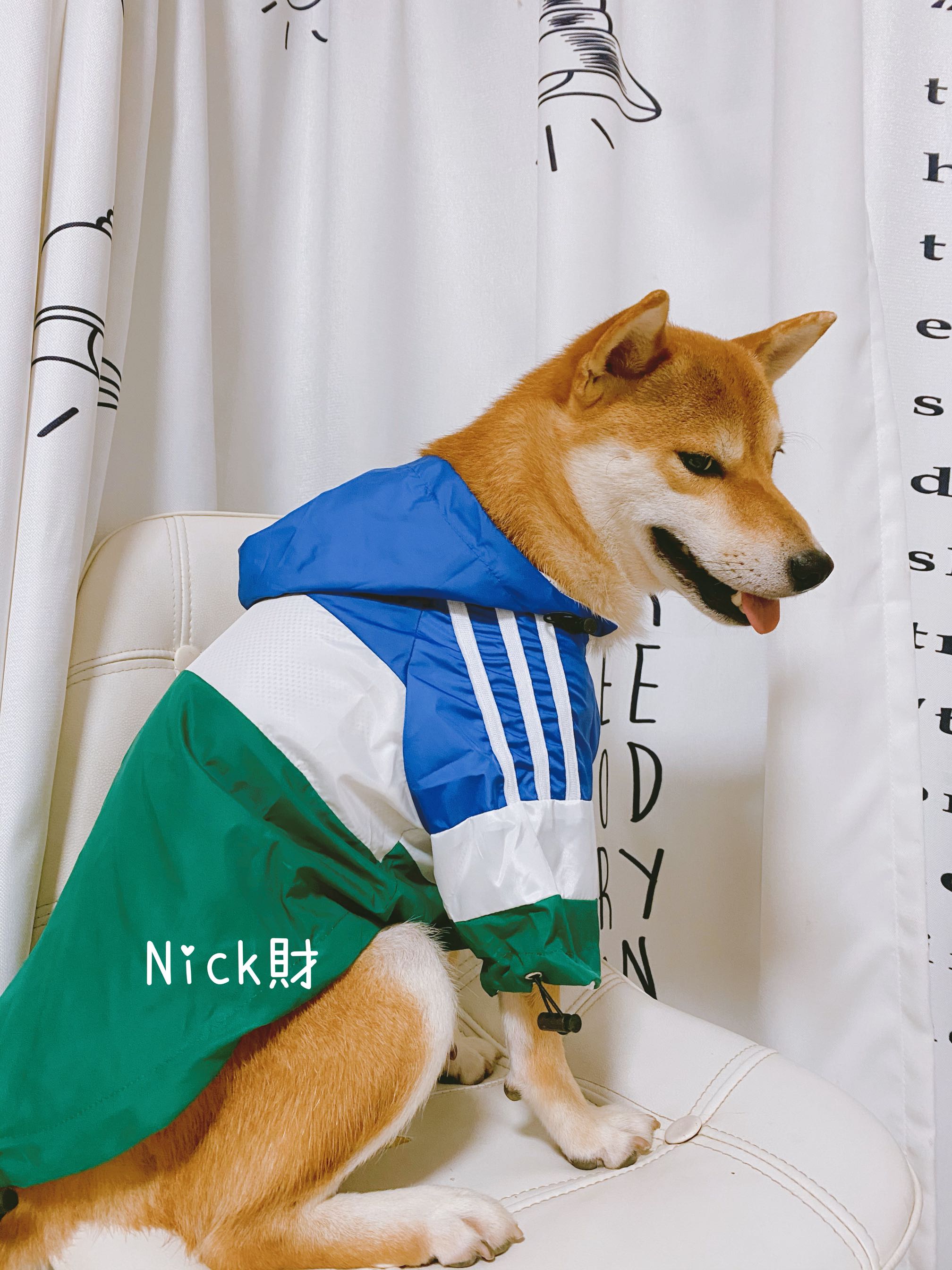 Nick財 柴犬柯基法斗潮牌防风防水连帽衣服冲锋衣狗狗宠物雨衣 - 图1