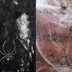 Halloween Ghost Festival Bar Đạo cụ Cảnh Nhà ma ám KTV Mall Bí mật Trang trí phòng Vật tư Spider Silk Spider Net Cotton - Sản phẩm Đảng / Magic / Hiệu suất đồ hóa trang cho bé Sản phẩm Đảng / Magic / Hiệu suất