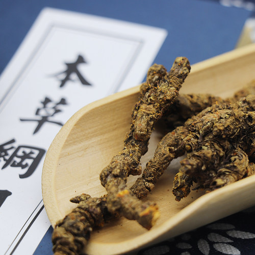 中药材黄连黄莲单只支黄连正宗王连黄连四川黄连黄连粉250g克包邮 - 图0