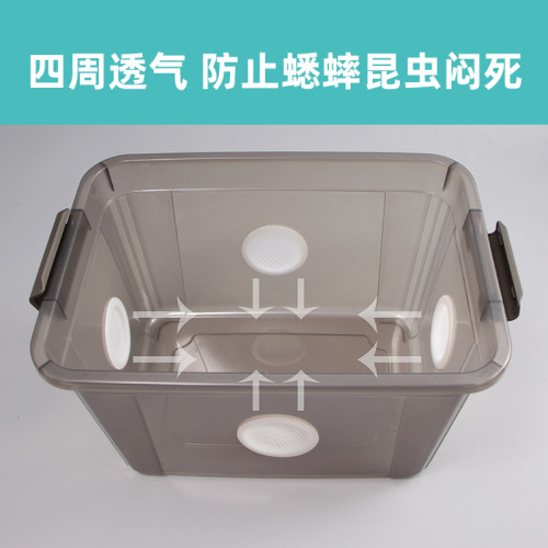 蟋蟀饲养盒小号大号饮水器蝈蝈昆虫杜比亚蟑螂面包虫隔离架饲养箱 - 图1