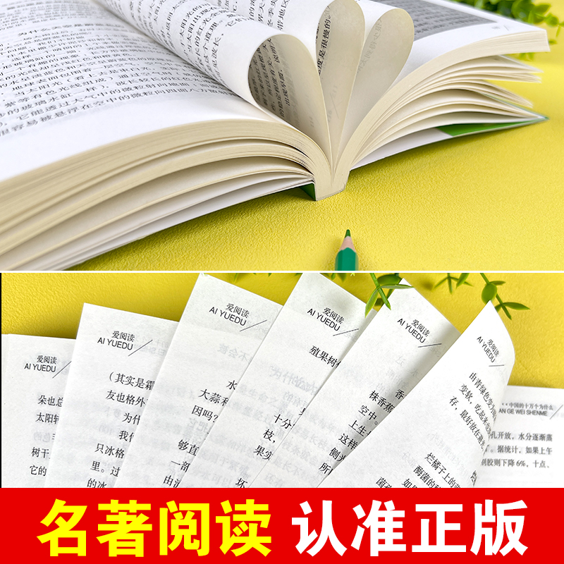 【送考点手册】民主与建设出版社中国的十万个为什么小学版四年级下册课外书必读老师推荐经典小学语文同步阅读统编教材配套畅销 - 图1