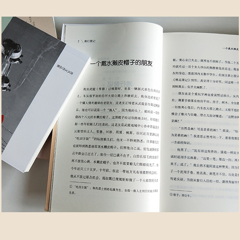 散文全集沈从文经典名作边城湘行散记长河从文自传中国乡土文学七年级必读上册课外书阅读老师推荐人教初高中统编语文教材配套初一 - 图2