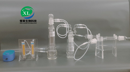 昆虫嗅觉仪超静音型简易款y形管昆虫嗅觉仪 经济实惠雪莱厂家直销 - 图2