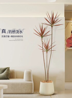 千年木仿真绿植客厅轻奢装饰盆栽植物仿生龙血树室内落地摆件假花