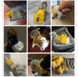 Утепленный демисезонный пуховик, динозавр, куртка, домашний питомец