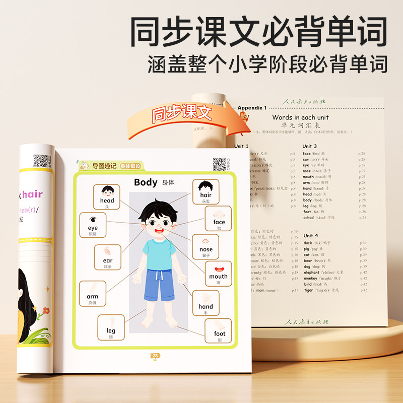 时光学一词一句学英语家与家人神奇自然校园生活大千世界2-8岁儿童学前英语启蒙趣味学英语同步小学阶段课文英语单词词汇音频点读