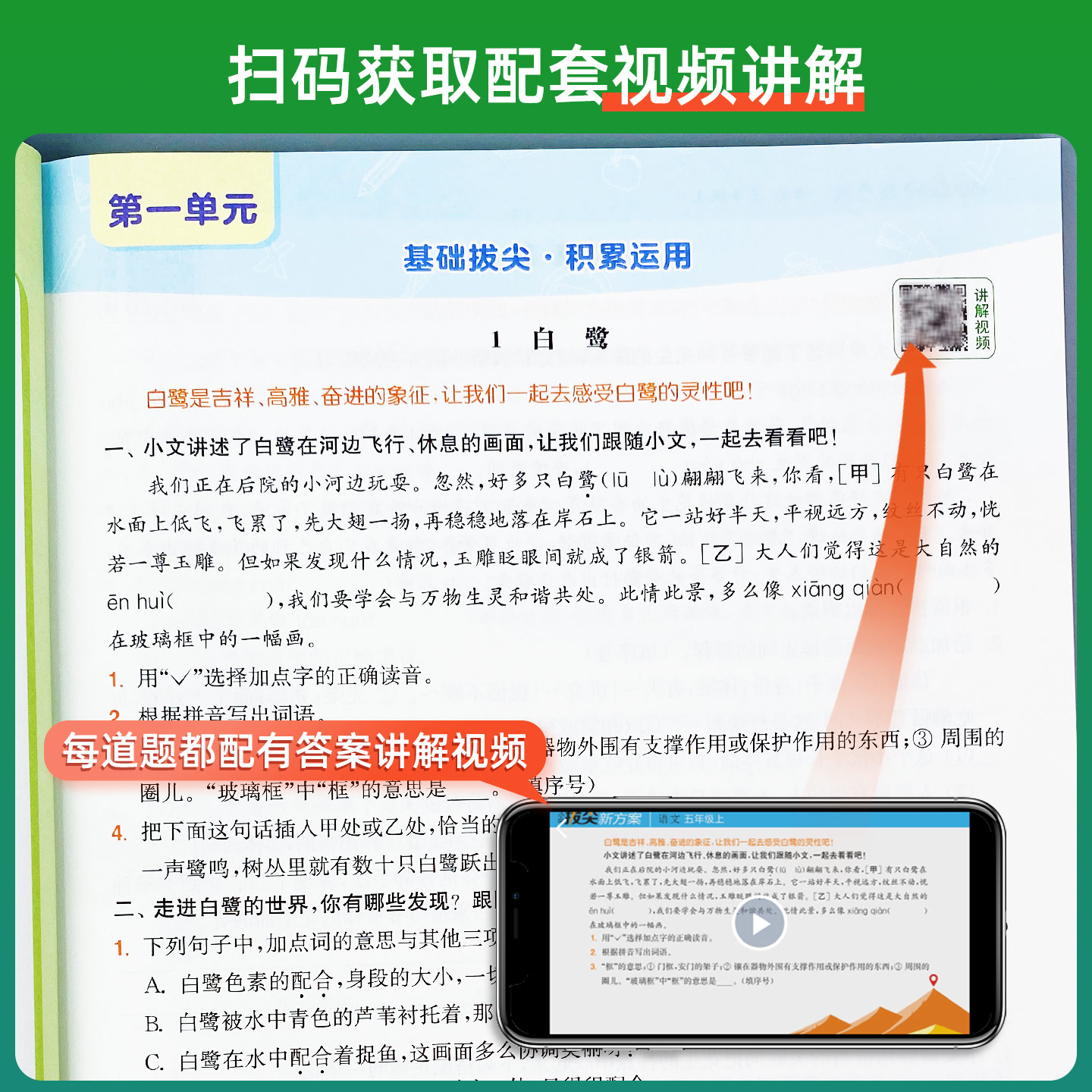 2024秋小学拔尖新方案一二三四五六年级上册语文数学英语人教版江苏版新教材同步尖子生培优高分一课一练同步练习册天天练拔尖特训
