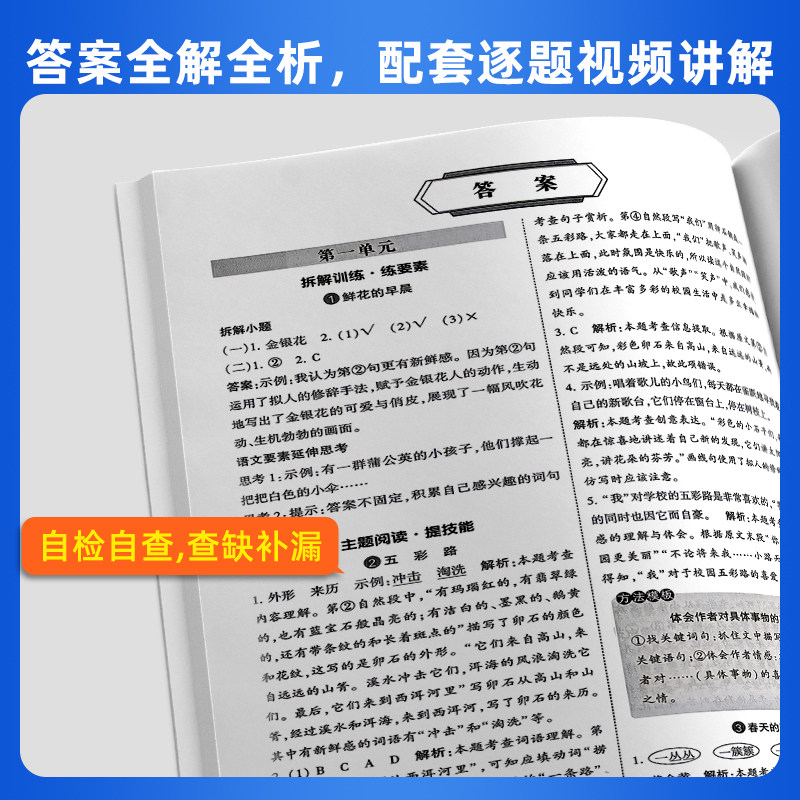 2026秋五星学霸同步阅读小学一二年级看图写话三四五六年级上册下册语文人教版新教材同步训练习册题一课一练阅读理解专项训练5星