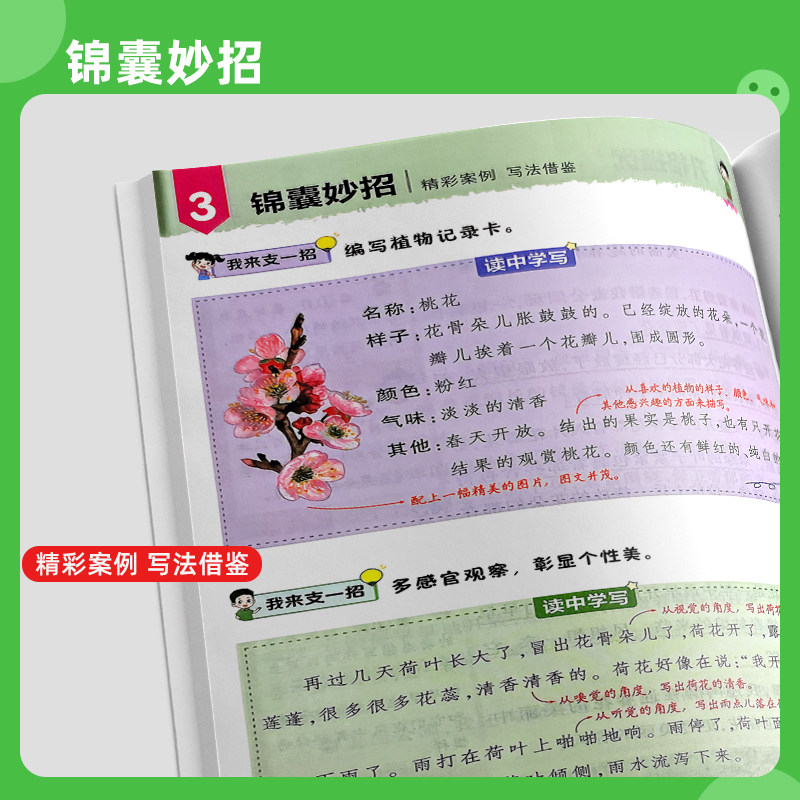 2026春状元大课堂同步作文一二年级看图写话三四五六年级同步作文上下册人教版小学语文教材作文入门范文大全写作技巧书状元成才路