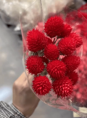 干花永生花千日红永生花草莓果高颜值花束花艺造型手工DIY花材