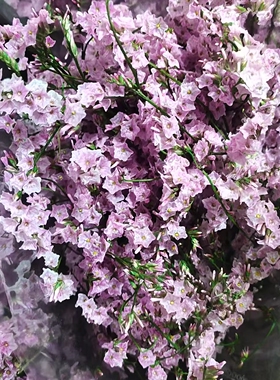 永生花水晶草干花永生花水晶草花艺造型花束插花花材港澳台马境外