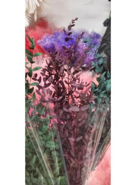 永生花细叶尤加利叶干花永生花细叶尤加利叶高颜值花艺造型插花材