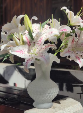 褶皱花边喷砂白色钉珠玻璃花瓶
