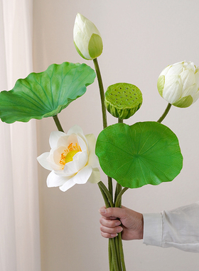 洛嘉荷花仿真花中式绢布莲花假花摆件客厅装饰插花瓶摆设拍摄道具