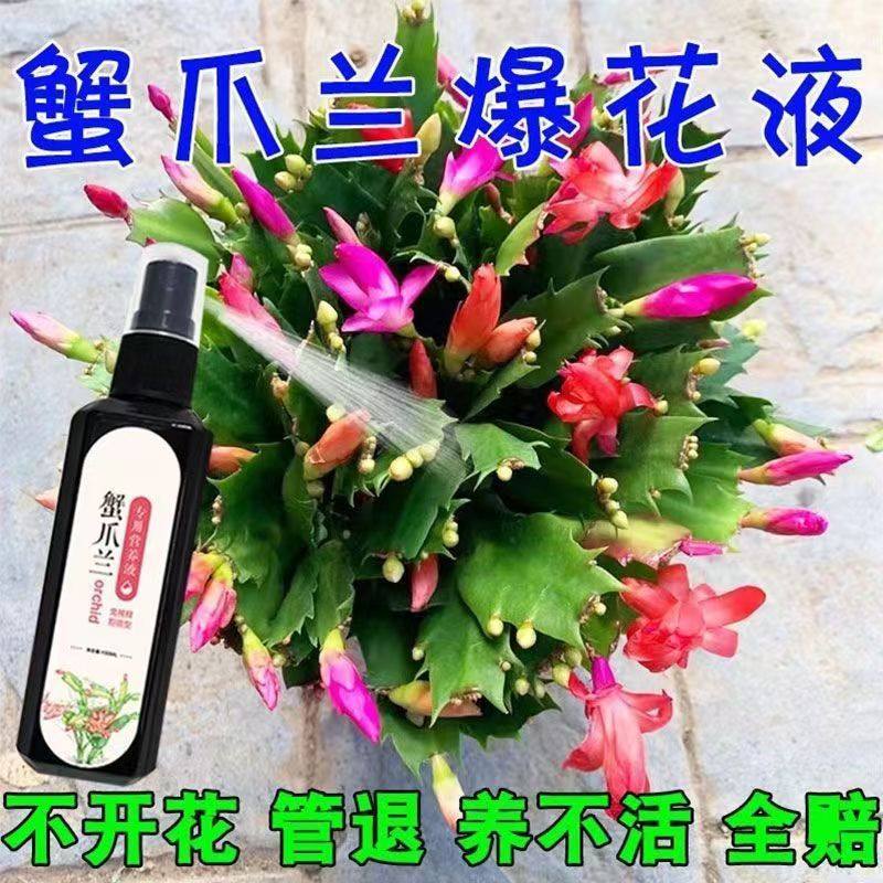 蟹爪兰专用肥营养液急救发蔫软烂黄叶壮根液体肥通用型促开花爆盆,淘宝优惠券,粉丝福利购,淘宝优惠卷