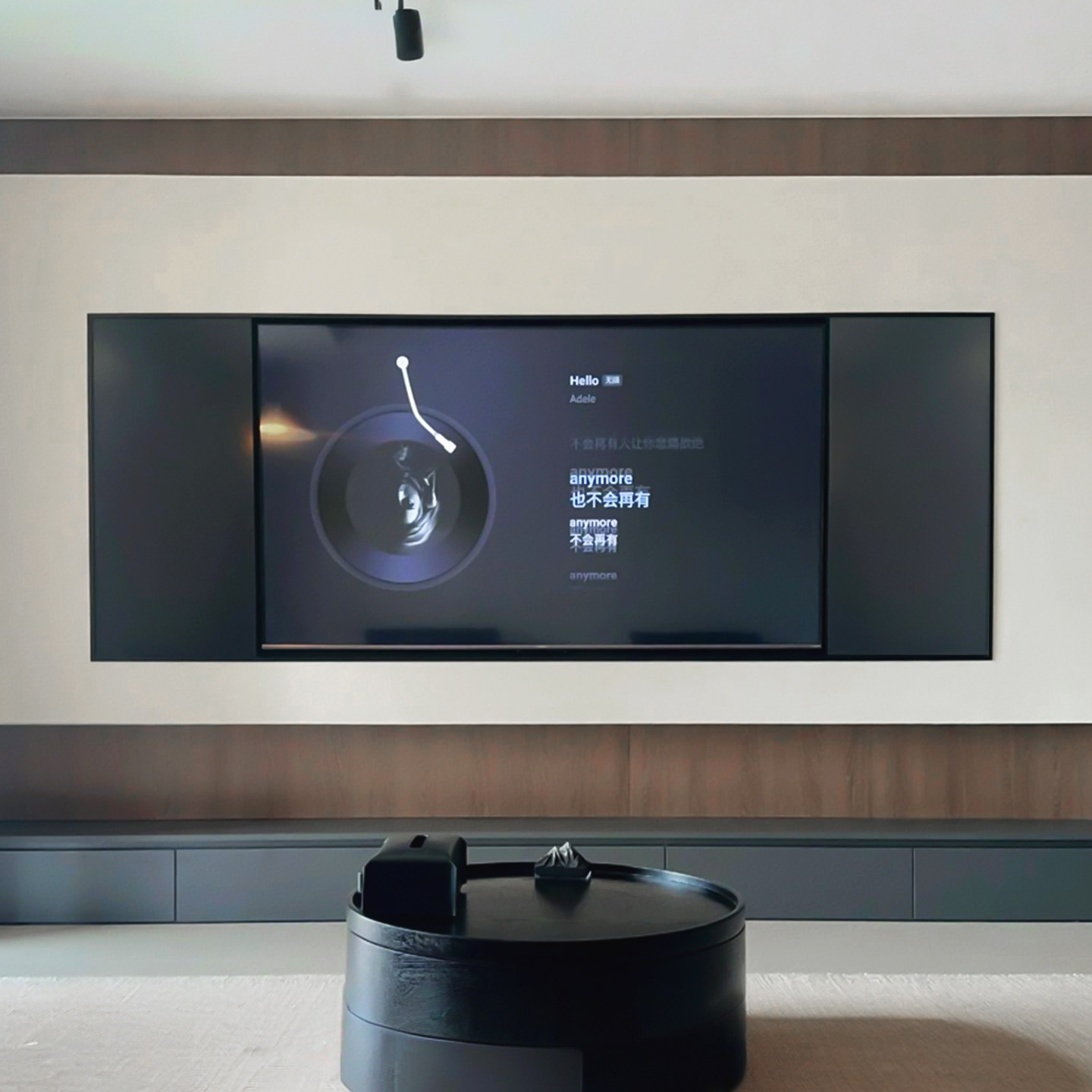 Lifetime warranty! High-end custom TV niche expedited