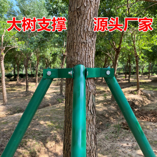 树木支撑架钢管固定器绿色大树支撑杆乔木防风抱箍园林金属树支撑 - 图0