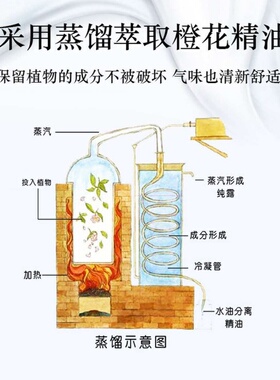 苦橙花单方精油香薰按摩护肤