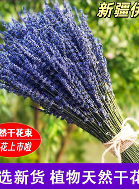 薰衣草风干花香薰干花束女友礼物