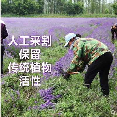 薰衣草香包香囊天然干花驱蚊安神助眠衣柜香薰端午节香囊香包袋-图2