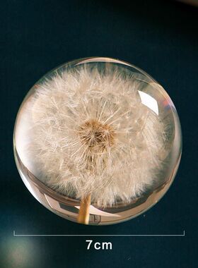 蒲公英标本水晶球滴胶成品永生花樱花玫瑰花树脂标本情侣生日礼物