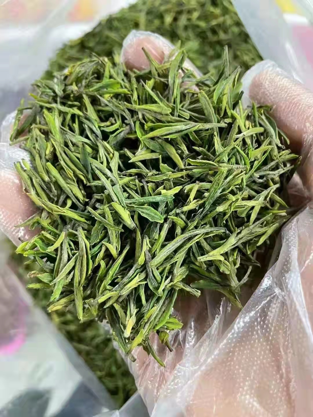 2024仙人台新品绿茶 罐装 精美礼盒包装 500g