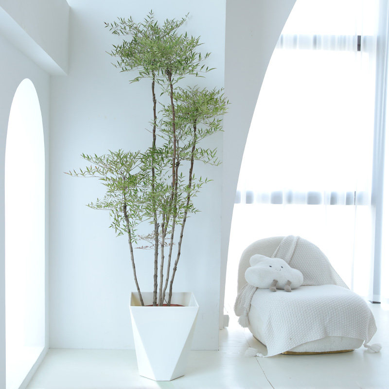 大型南天竹老桩南天竺禅意造型绿植庭院造景阳台客厅室内植物盆栽,淘宝优惠券,粉丝福利购,淘宝优惠卷