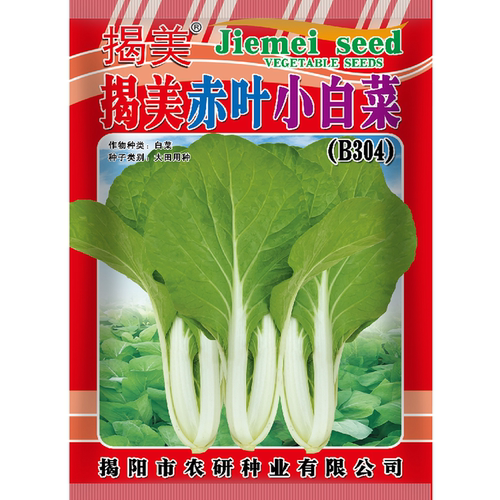 蔬菜种子 小白菜种子 潮汕高产好吃赤叶小白菜籽 菜籽 阳台园艺 - 图3