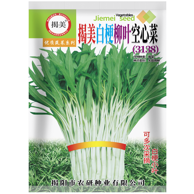 20克500克白梗柳叶空心菜种子 白骨通心菜雍菜籽阳台田园易种蔬菜,淘宝优惠券,粉丝福利购,淘宝优惠卷
