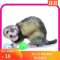 Rabbit Forest-USA Marxel Snowy Ferret Ball Bells Toy Ball (Ferret Toy) Spot