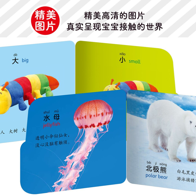 小车车翻翻卡6册 0-3岁宝宝启蒙认知纸板书撕不烂幼儿早教图书看图识字认识数字水果蔬菜交通工具可爱动物王国中英双语儿歌绘本 - 图2