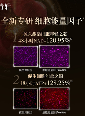 【直播专享】林清轩山茶花精华油小金珠黑金霜灌肤SPA护肤套装