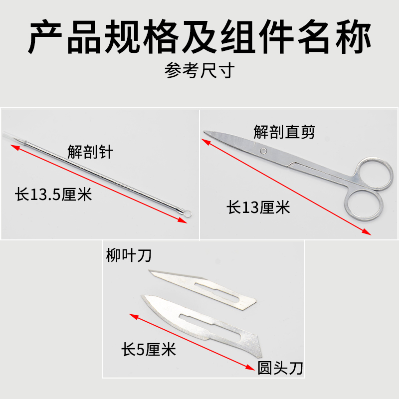 生物解剖器七件套7件套学生用生物解剖盘镊子钳子针刀片工具套装标本制作生物实验器材中学教学仪器 - 图2