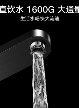 小米米家净水器2Pro1600G双出水