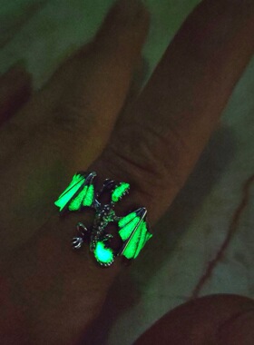 日韩时尚百搭魔法森林夜光炫酷翼龙戒指森林可调节戒指