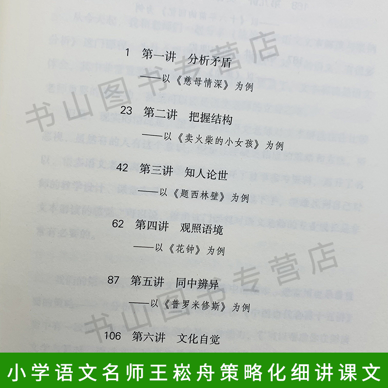 崧舟细讲文本 小学语文教材文本解读与教学设计 大教育书系 小学语文领军名师王崧舟策略化细讲课文 探寻教学艺术