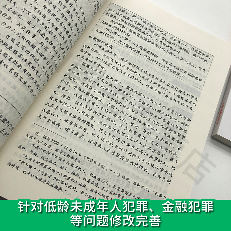 新版中华人民共和国刑法十一 +刑事诉讼法 民法典宪法婚姻法物权法法律法规一本通司法解释理解适用中国法制 - 图2