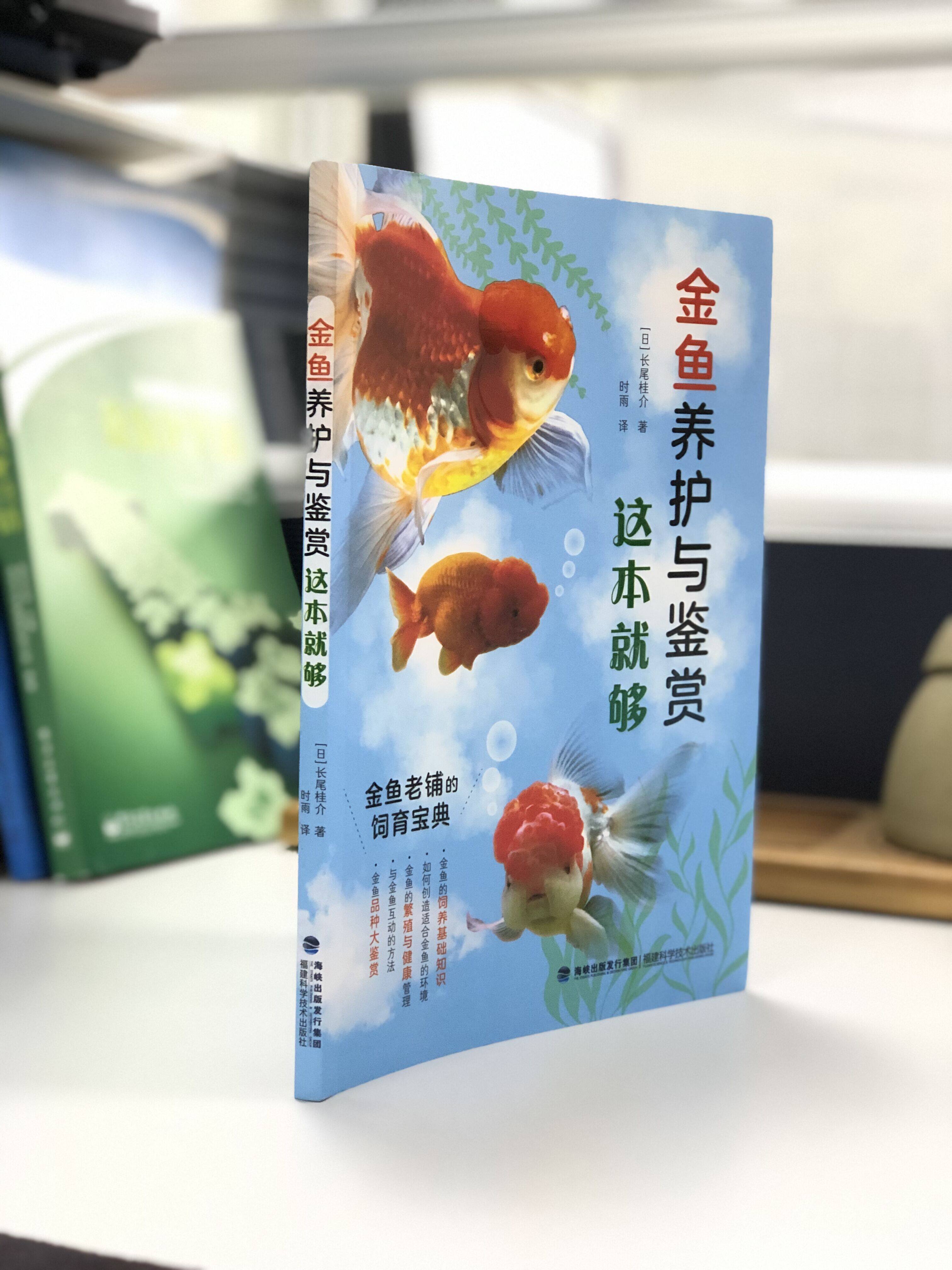 金鱼观赏鱼新手 新人首单立减十元 22年9月 淘宝海外