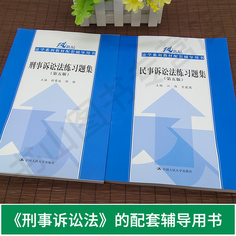 民事诉讼法练习题集第六版+刑事诉讼法练习题集第五版21世纪法学系列教材配套辅导用书法律书籍法学历年考研试题国际法练习题集 - 图0